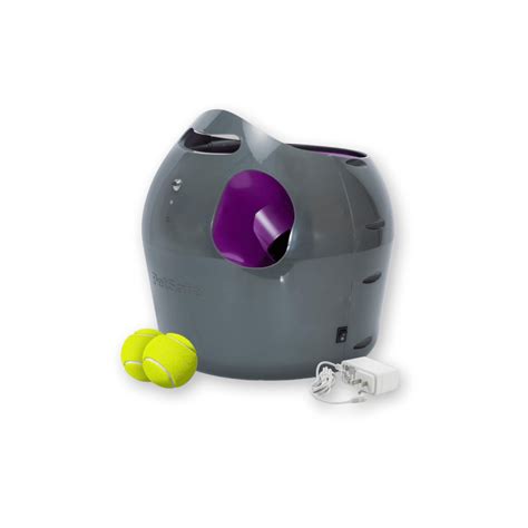 7 Best Dog Ball Launchers to Keep Your Pet Active in 2025 - DogTime