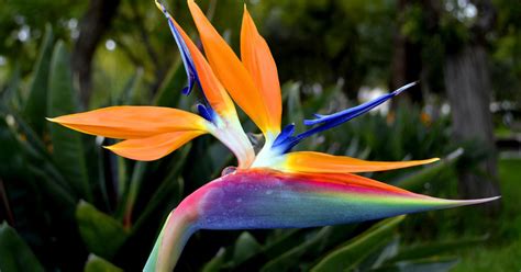 Image result for Every Method JavaScript