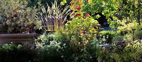 Springs Safari: Super Plants, 333 S. Valley View Blvd., Las Vegas, NV ...