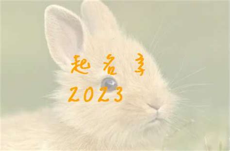2022兔子名字可爱洋气 可爱好听的兔子名字分享 - 万年历
