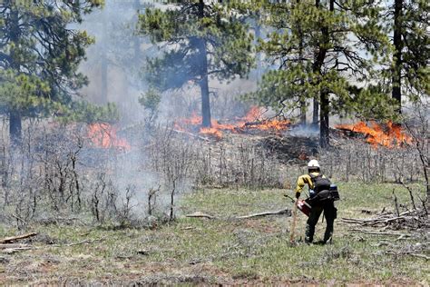 As wildland firefighter pay raises near ‘finish line,’ advocates say ...