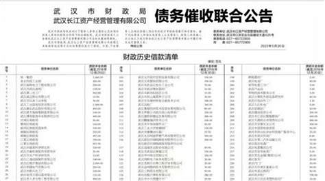 武汉市财政局公开向259家单位催收借款！总金额超1亿元_腾讯新闻