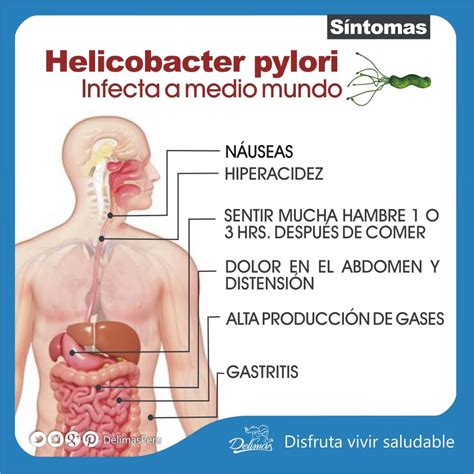 Helicobacter Pylori Sintomas