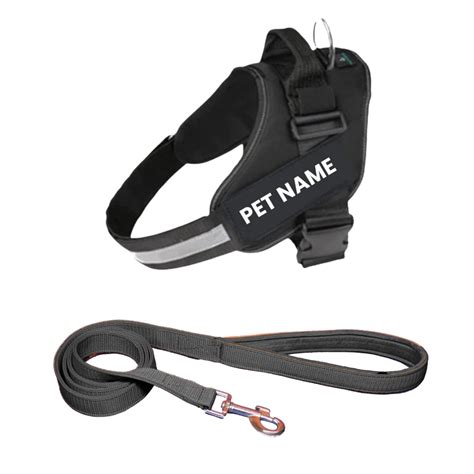 PAYTON PERRY Customized Dog Harness with Leash | Dog Harness with Name ...
