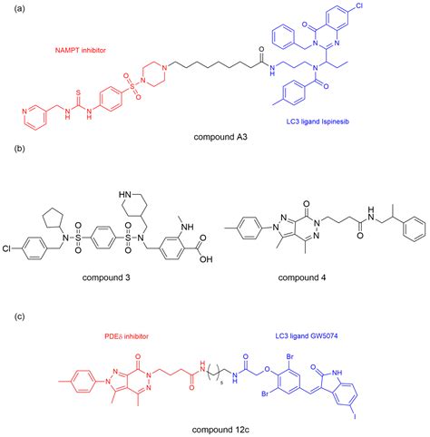 Targeted Degradation Technologies Utilizing Autophagy