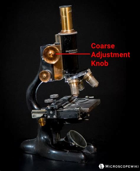 Image result for Function of Compound Microscope