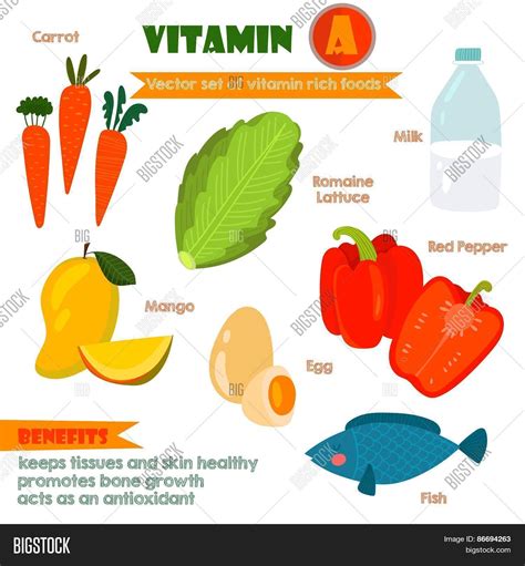 Vitamins Minerals Vector & Photo (Free Trial) | Bigstock
