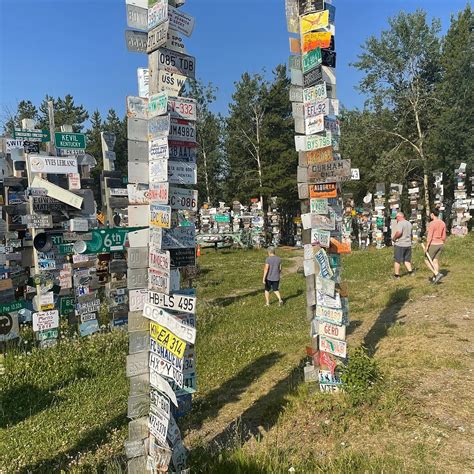 SIGNPOST FOREST (2025) All You Need to Know BEFORE You Go (with Photos ...