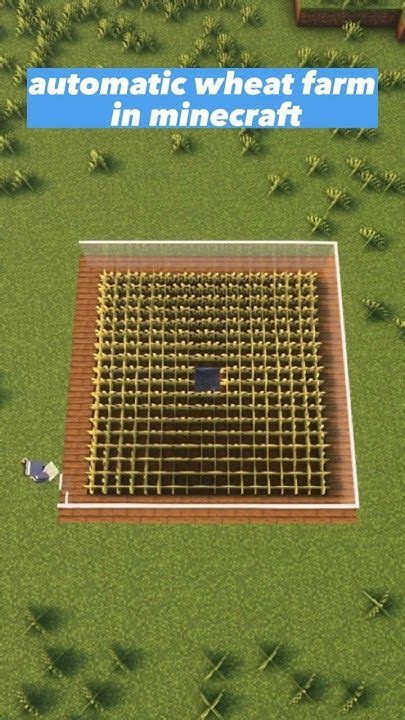 Image result for Automatic Wheat Farm Java 1.16