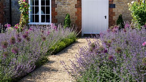 How to grow lavender: a step-by-step guide to growing this pretty ...