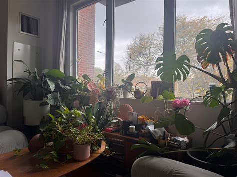 BIPOC Americans are building altars for their ancestors—and healing ...