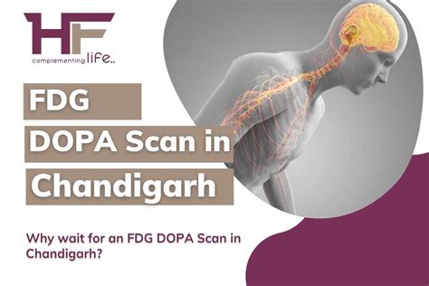 FDG DOPA Scan In Chandigarh - HealthFinder