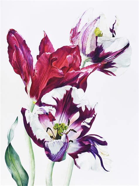 Rosie Sanders, Full Blown Tulips, 2023 | Jonathan Cooper