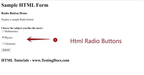 Image result for Radio Button Color in HTML