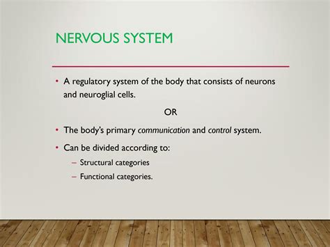 Image result for Nervous System Introduction