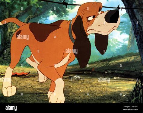 Fox And The Hound Disney High Resolution Stock Photography and Images ...