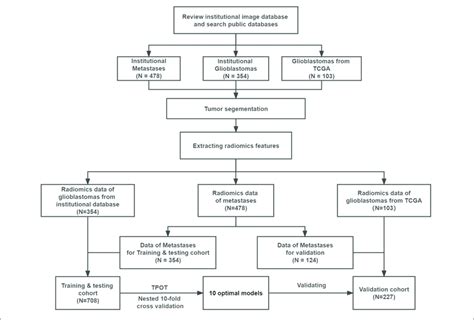Flowchart TCGA 的图像结果