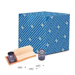 Tata Motors Original Parts Tiago/Tigor BS6 Petrol - Service schedule ...