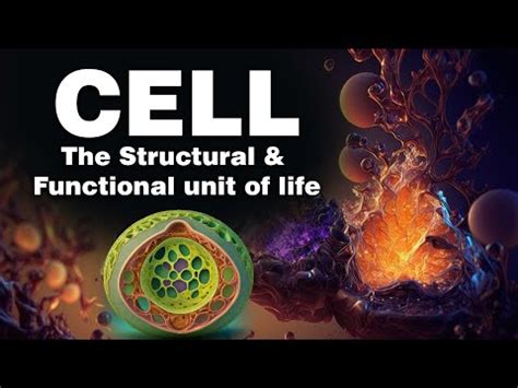 Cell - The Structural and Functional Unit of Life Video Lecture ...