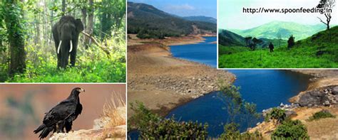 Ooty Tourist Attractions in and around - Tamil Nadu, India: The ...