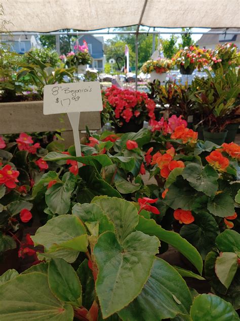 LONG BRANCH POULTRY FARM - Long Branch NJ - Hours, Directions, Reviews ...