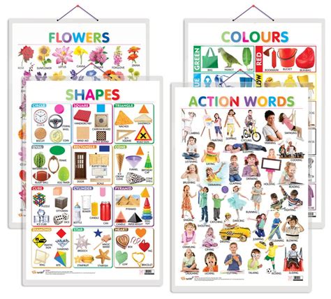 Set of 4 Flowers, Colours, Shapes and Action Words Early Learning ...