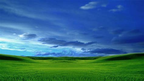 Microsoft Desktop Backgrounds 的图像结果