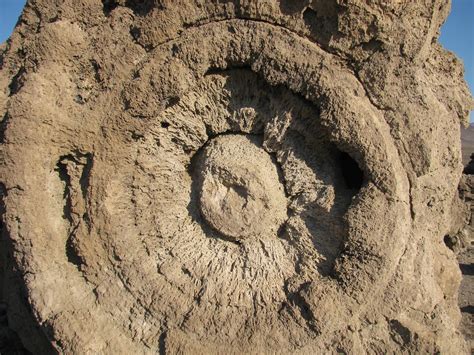 Weekend Wanderluster: Winnemucca Lake Petroglyphs (Washoe County, Nevada)
