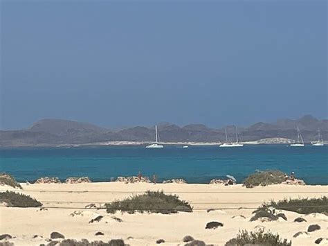 Catlanza (Corralejo) - All You Need to Know BEFORE You Go