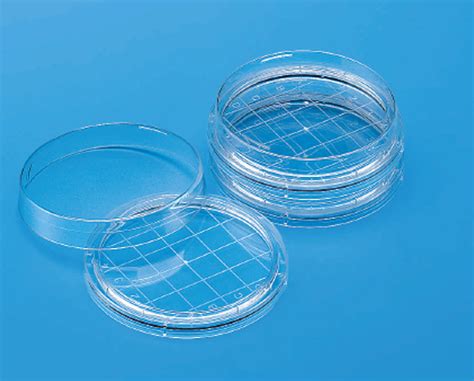 Buy Laboratory Glass Dishes online in India | LabEnd.com