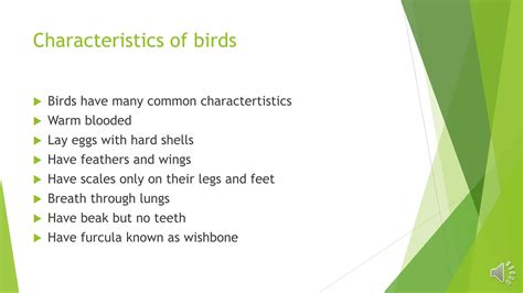 Presentation on characteristic of birds class 2 .pptx