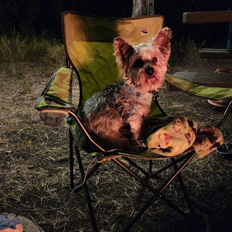 Haystack Reservoir Campground (East Shore) | Culver, Oregon
