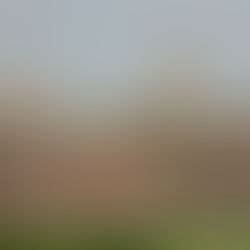 CCAL | Centre for Comparative Constitutional Law & Administrative Law