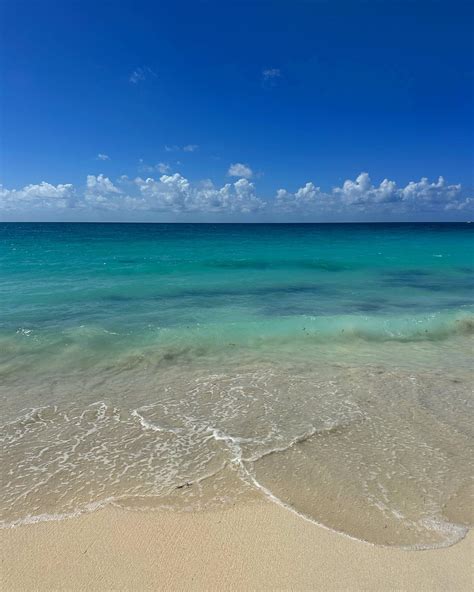 Alex Chovanak | The past week in Sint Maarten + Sint Eustatius ft some awful jellyfish stings ...