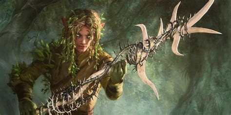 Polearm Master 5e | DnD Feat Optimization Guide | Arcane Eye