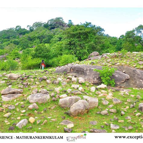 VEDDAS CULTURE CENTER (2026) All You Need to Know BEFORE You Go (with ...