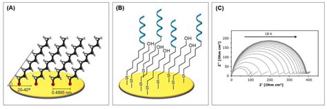 Immobilization Techniques for Aptamers on Gold Electrodes for the ...