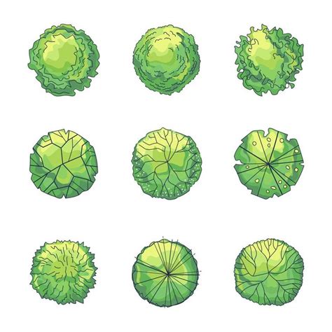 TreePlan 的图像结果