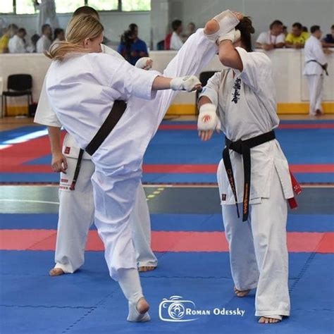 Image result for Karate Framework Java