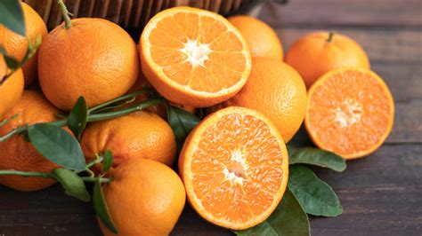 Traditions 的图像结果