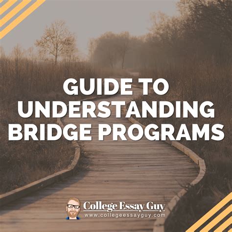 Image result for College Bridge Programs
