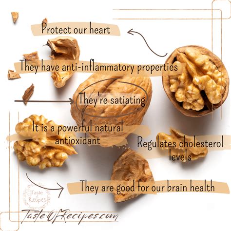 Walnuts, know all the properties and benefits of this magnificent nut