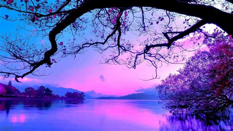 Blue and Purple Sunset HD wallpaper | Sunset wallpaper, Purple sunset ...
