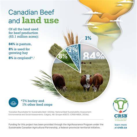 The Environmental Impact Of Beef: A 2026 Reality Check