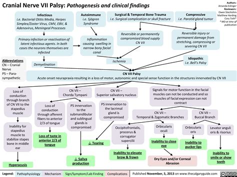 Cranial Nerve Bells Palsy