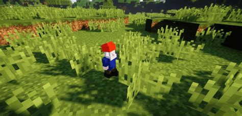 Image result for Minecraft Morph Mod Controls