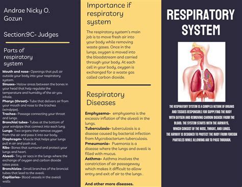 Respiratory System
