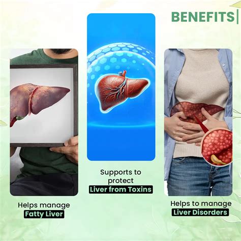 LiverX Factor : Ayurvedic Medicine for Fatty Liver | Sheopals