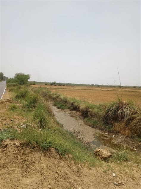 Agricultural/Farm Land for Sale in Sohna Palwal Road Sohna Palwal Road ...
