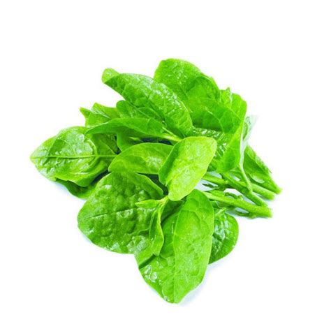 Balli Basale | Basale Leaf for Fresh & Flavorful Dishes